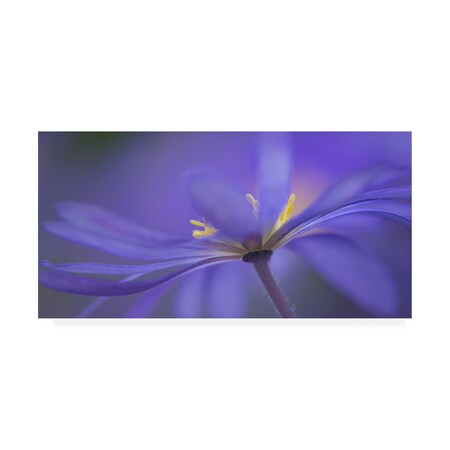 Trademark Fine Art Penny Myles 'Blue Waves Floral' Canvas Art, 10x19 1X08678-C1019GG
